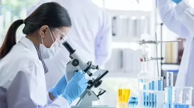 HoneyFil science