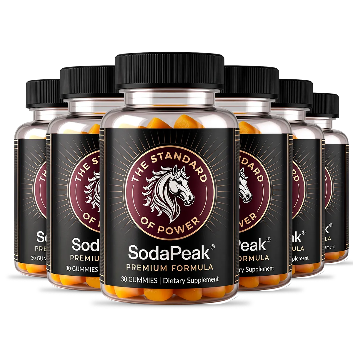 SodaPeak 6 bottle discount pack